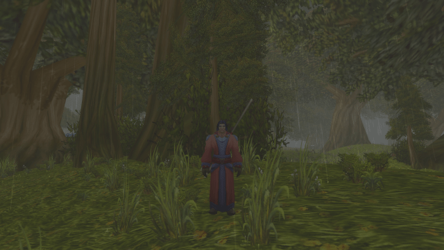 Image of a man in a robe in WoW SoD.